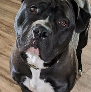 Meet your Posher, Francisco